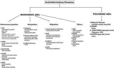 Vasculitis in Systemic Autoinflammatory Diseases